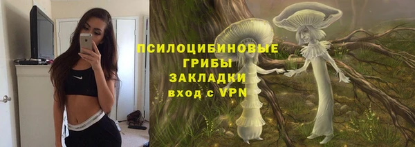 винт Алексин