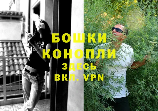винт Алексин