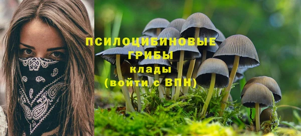 дживик Нея