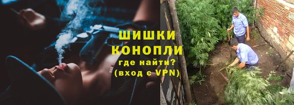 каннабис Алзамай